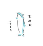なんか深そうで浅いことを言ってるサメェ（個別スタンプ：13）