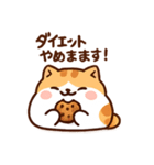 Cat starts dieting（個別スタンプ：2）