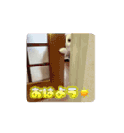 Move HARORIスタンプ②（個別スタンプ：9）