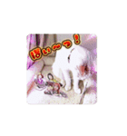 Move HARORIスタンプ②（個別スタンプ：11）