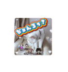 Move HARORIスタンプ②（個別スタンプ：12）