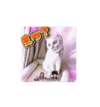 Move HARORIスタンプ②（個別スタンプ：14）