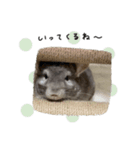 とうふすたんぷ  2（個別スタンプ：1）