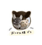 とうふすたんぷ  2（個別スタンプ：5）