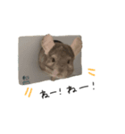 とうふすたんぷ  2（個別スタンプ：9）