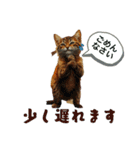 音楽大好き日常会話（個別スタンプ：35）