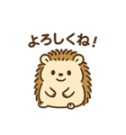 まるまるハリーのまいにちスタンプ（個別スタンプ：6）