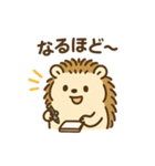 まるまるハリーのまいにちスタンプ（個別スタンプ：11）