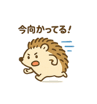 まるまるハリーのまいにちスタンプ（個別スタンプ：18）