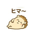まるまるハリーのまいにちスタンプ（個別スタンプ：19）