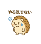 まるまるハリーのまいにちスタンプ（個別スタンプ：21）