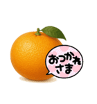 みかん日常使いスタンプ（個別スタンプ：1）