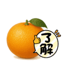みかん日常使いスタンプ（個別スタンプ：2）