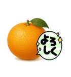 みかん日常使いスタンプ（個別スタンプ：3）