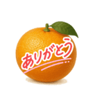みかん日常使いスタンプ（個別スタンプ：13）