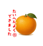 みかん日常使いスタンプ（個別スタンプ：27）