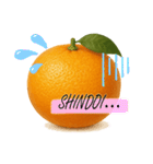 みかん日常使いスタンプ（個別スタンプ：40）