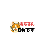 じんちゃん-茶白猫（個別スタンプ：3）