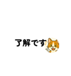 じんちゃん-茶白猫（個別スタンプ：5）