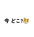 じんちゃん-茶白猫（個別スタンプ：15）