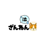 じんちゃん-茶白猫（個別スタンプ：26）