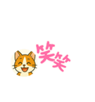 じんちゃん-茶白猫（個別スタンプ：33）