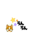 じんちゃん-茶白猫（個別スタンプ：34）