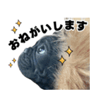フレブルのレオ 1（個別スタンプ：2）