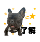 フレブルのレオ 1（個別スタンプ：4）