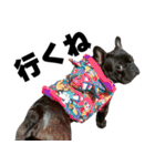 フレブルのレオ 1（個別スタンプ：6）