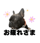 フレブルのレオ 1（個別スタンプ：10）