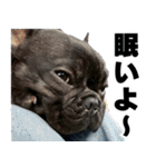 フレブルのレオ 1（個別スタンプ：18）