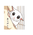モモニンジャーのスタンプ（個別スタンプ：23）