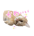 ねこのぶんぞう3（個別スタンプ：4）