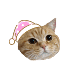 ねこのぶんぞう3（個別スタンプ：22）