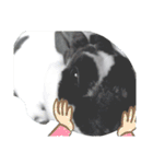 世界の中心は牛（個別スタンプ：20）