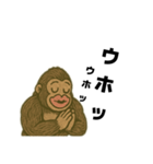 ゴリラを通して、仲を深めよう。（個別スタンプ：17）