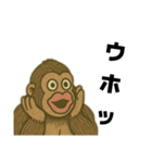 ゴリラを通して、仲を深めよう。（個別スタンプ：22）