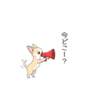 家族で使う連絡スタンプ（個別スタンプ：2）