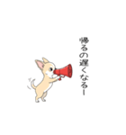 家族で使う連絡スタンプ（個別スタンプ：4）