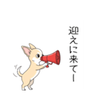 家族で使う連絡スタンプ（個別スタンプ：13）