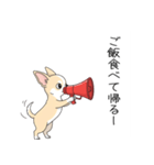 家族で使う連絡スタンプ（個別スタンプ：16）