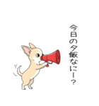家族で使う連絡スタンプ（個別スタンプ：20）
