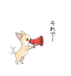 家族で使う連絡スタンプ（個別スタンプ：21）