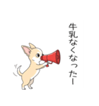家族で使う連絡スタンプ（個別スタンプ：24）