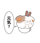 Vレコードハリー（個別スタンプ：21）