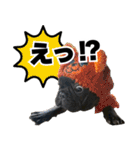 フレブルのレオ 2（個別スタンプ：1）