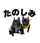 フレブルのレオ 2（個別スタンプ：7）