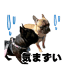 フレブルのレオ 2（個別スタンプ：9）