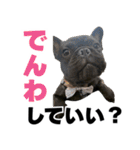 フレブルのレオ 2（個別スタンプ：12）